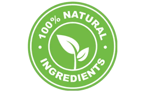 MemoryOn 100% Natural Nootropic Ingredients